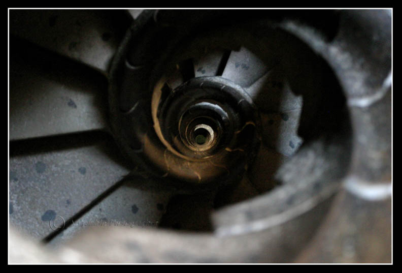 Sagrada Familia, Barcelona