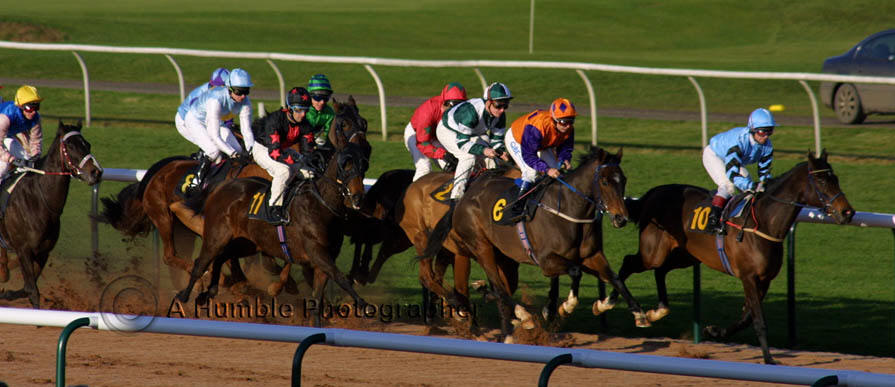 Horse Racing